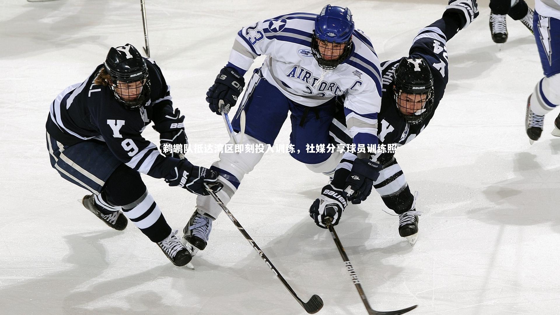 鹈鹕队抵达湾区即刻投入训练，社媒分享球员训练照